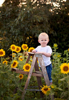Carson & Cam w Mommy & Ansley {Sunflowers}